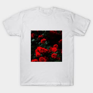 Rose - aesthetic box art T-Shirt